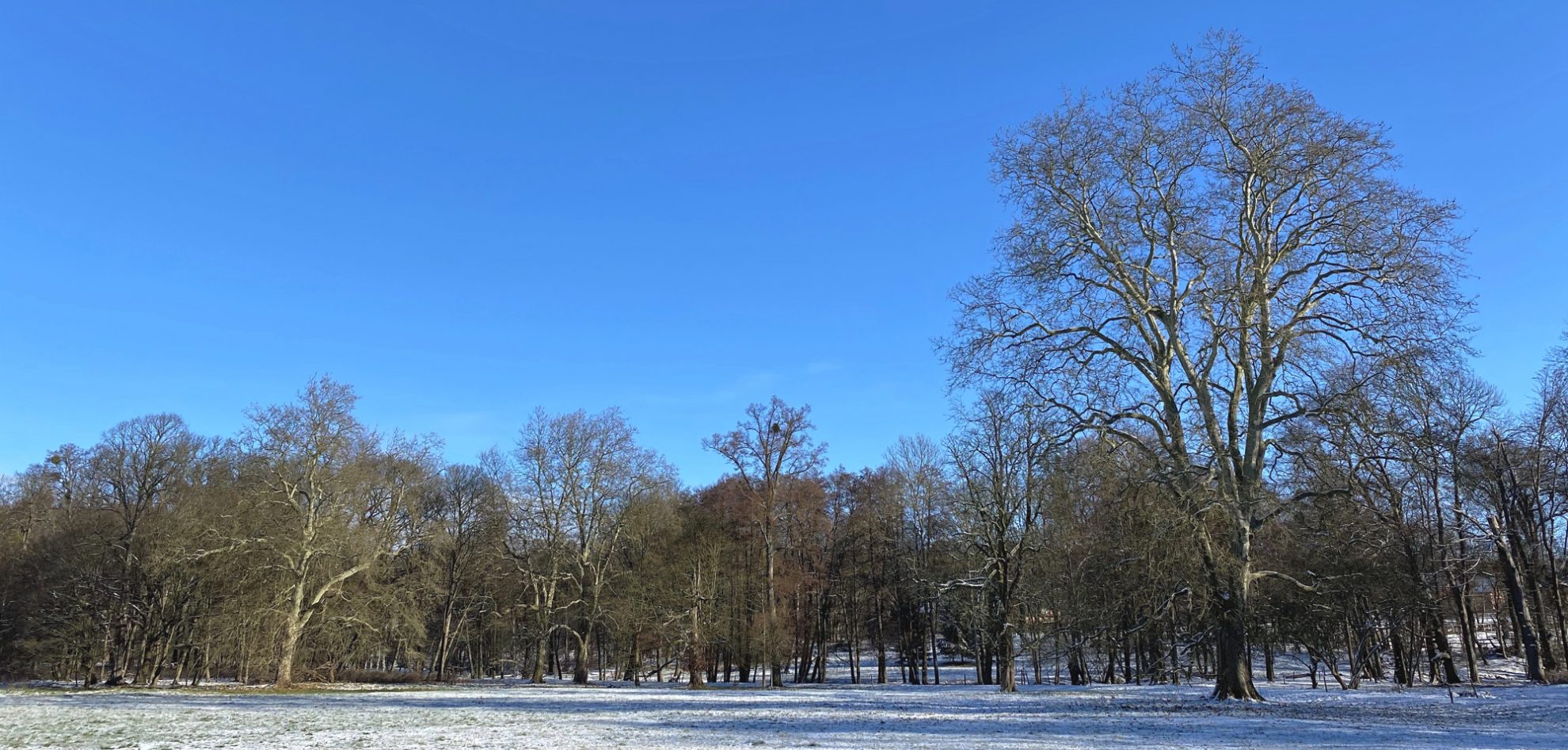 Große Wiese vor Schloss Görlsdorf im Lenné-Park im Winter