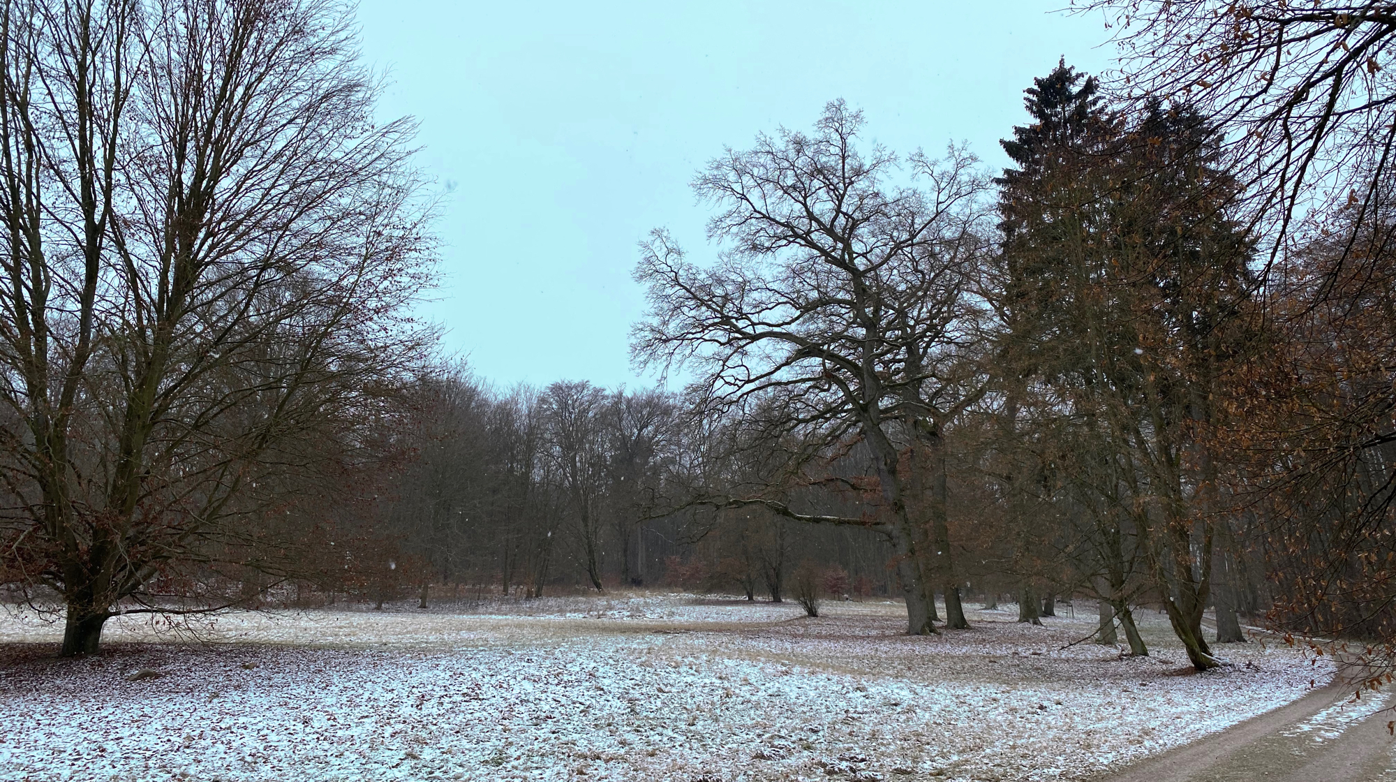 Große Wiese am Tee-Pavillon im Lenné-Park im Winter