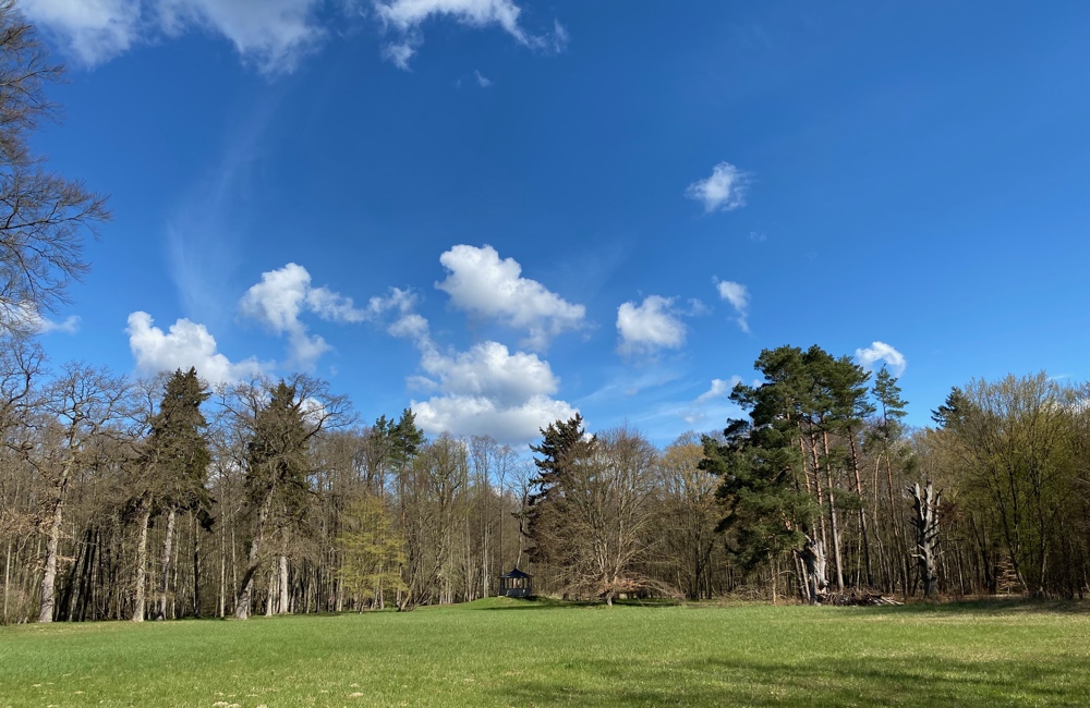 Grosse Wiese im Lenné-Park im Frühjahr