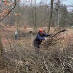 Arbeitseinsatz im Lenné-Park Görlsdorf
